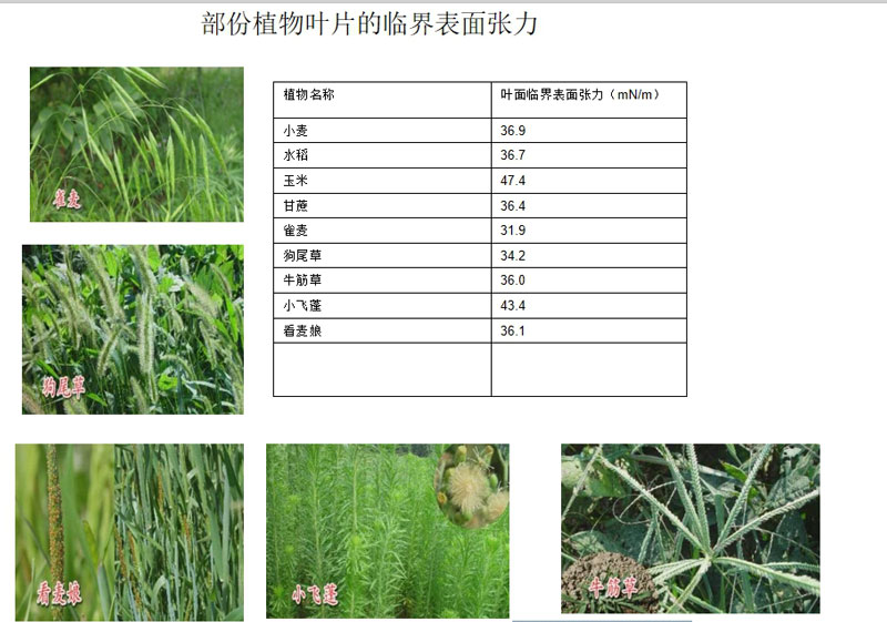 有机硅助剂在农业中的应用