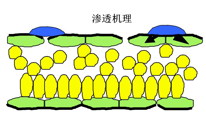 有机硅助剂在农业中的应用